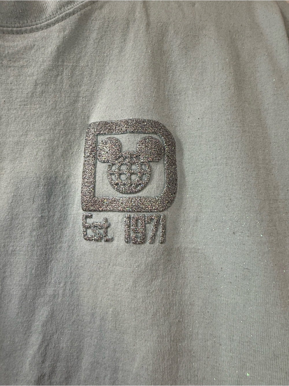 Disney World Arendelle Aqua Spirit Jersey - Picture 3 of 7